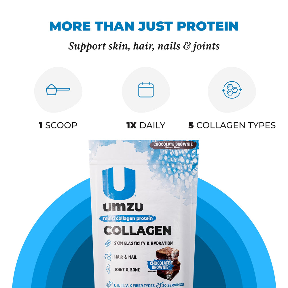 Prepared chocolate collagen protein shake