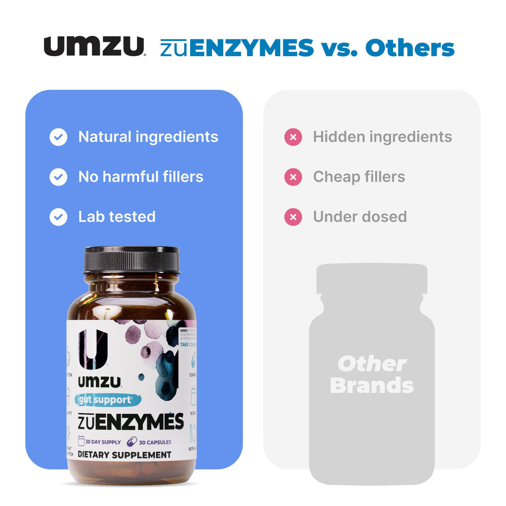 Digestive system illustration highlighting enzymes