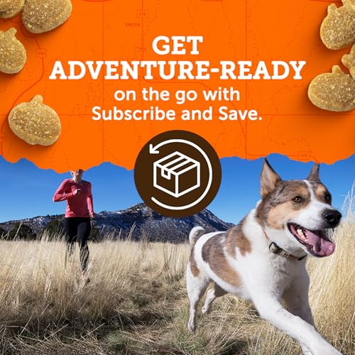 Dog enjoying a treat during an outdoor activity