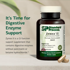 Digestive enzymes illustration