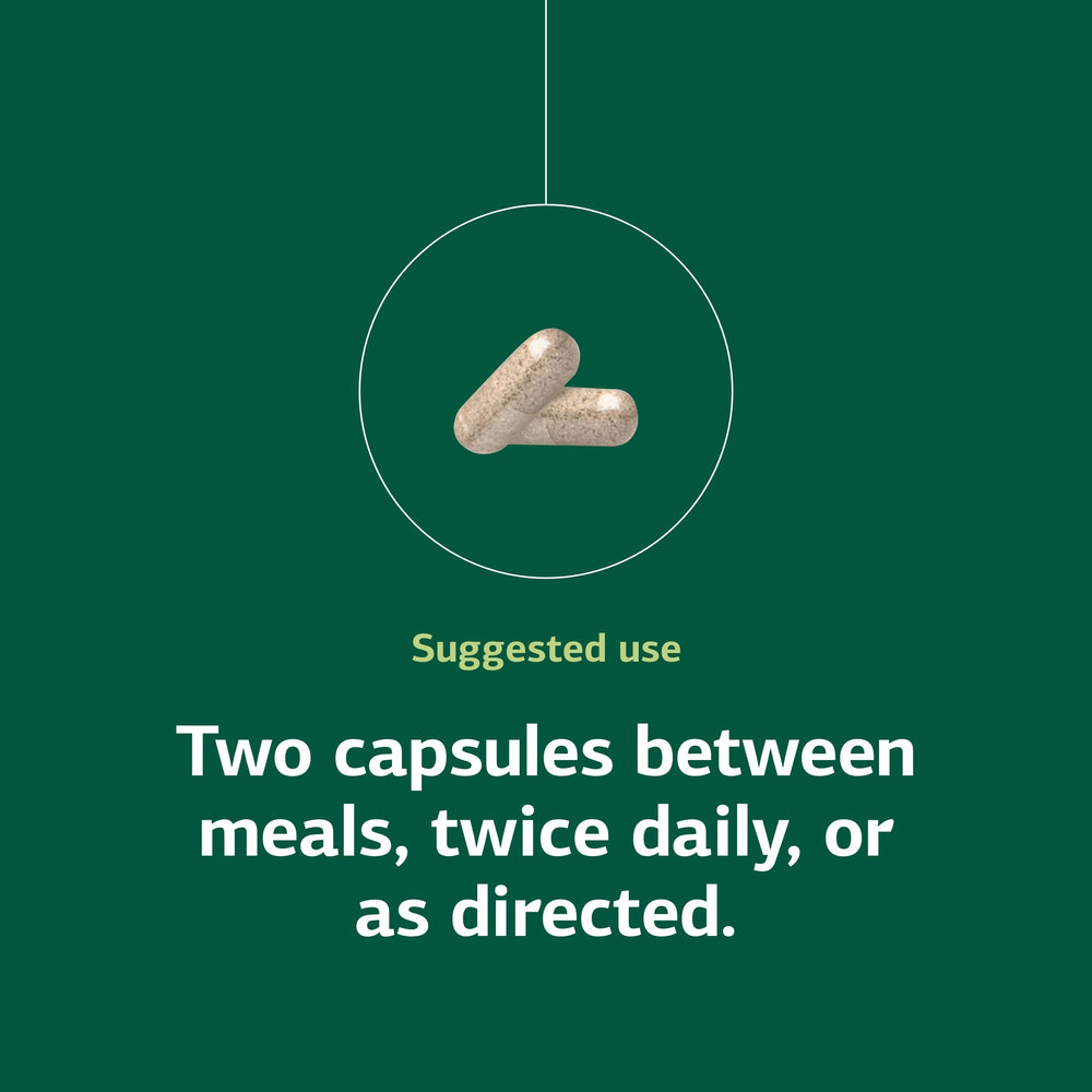 GI support and gut microbiota concept