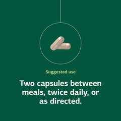 GI support and gut microbiota concept
