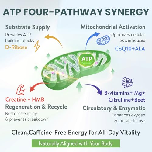 Zypherionixis ATP powder bottle closeup highlighting premium blend for performance support
