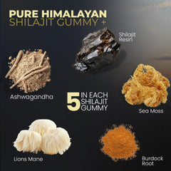 shilajit minerals 105 minerals detail