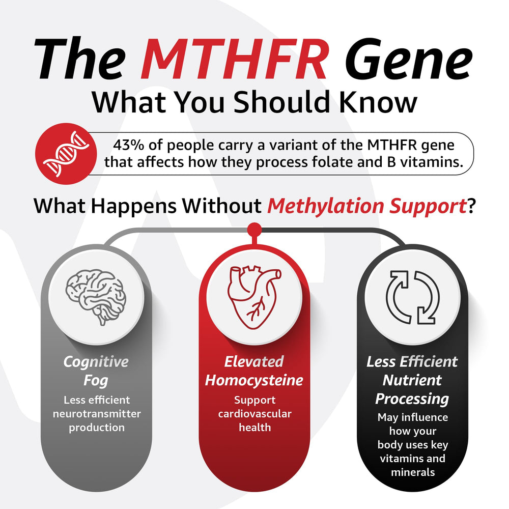 USA-made badge visible on 10X Health System Optimize Multivitamin for Men packaging.