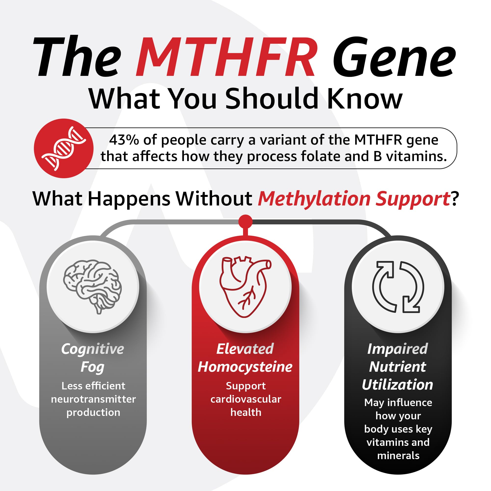 Betaine Anhydrous formula for energy and mitochondrial health