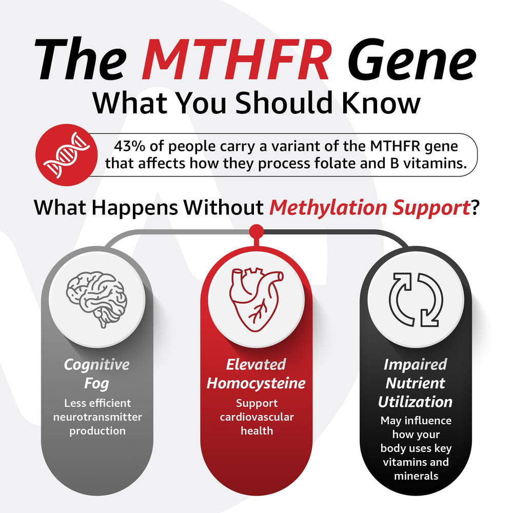 Betaine Anhydrous formula for energy and mitochondrial health
