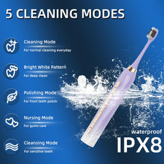 12 brush heads included