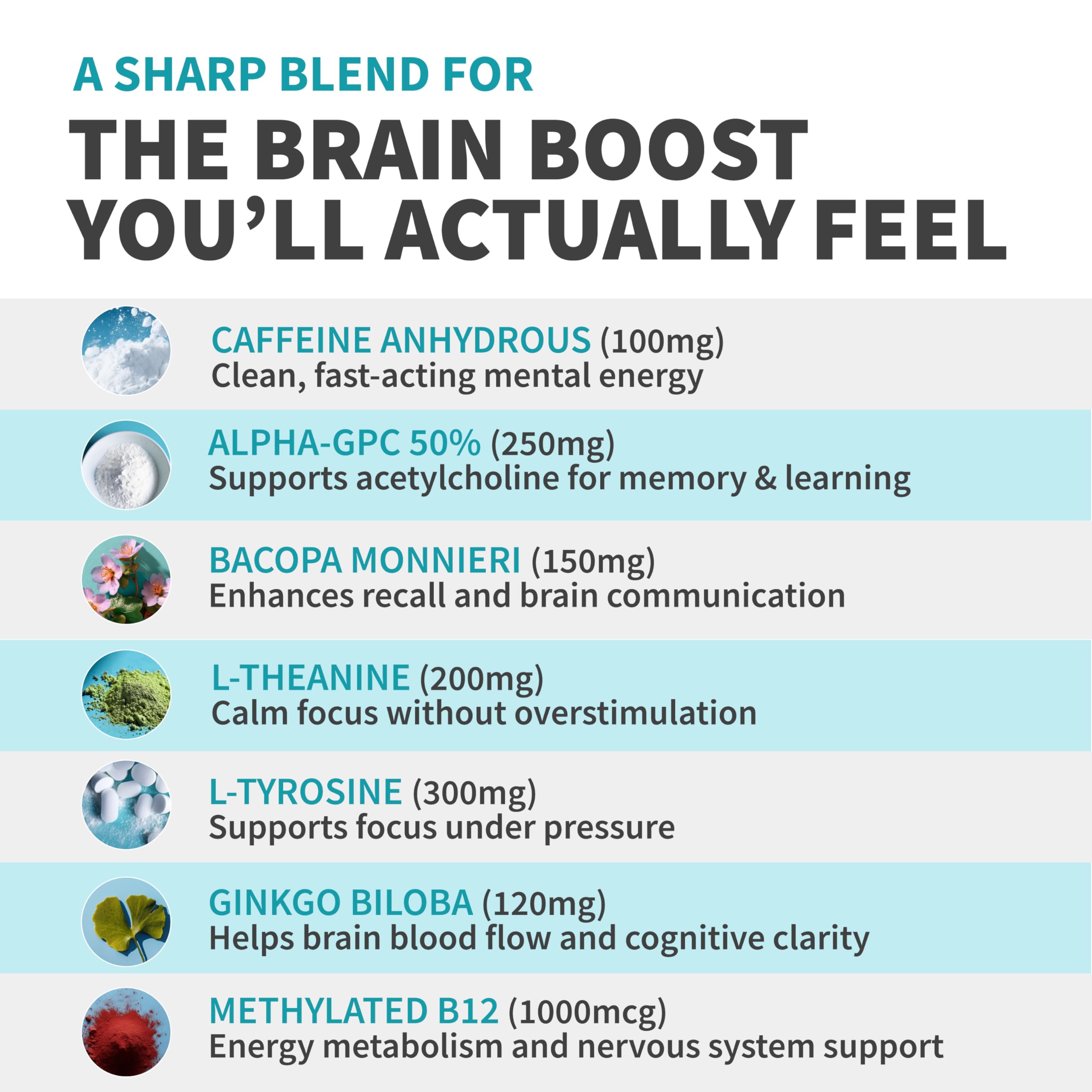 Graphic illustrating vegan blend ingredients used in the nootropic