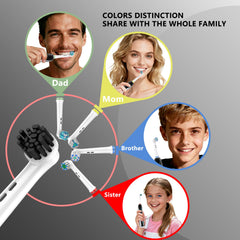 Angled bristles reaching between teeth and along gum lines