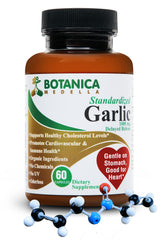 Odorless garlic capsules with 12400 mcg allicin