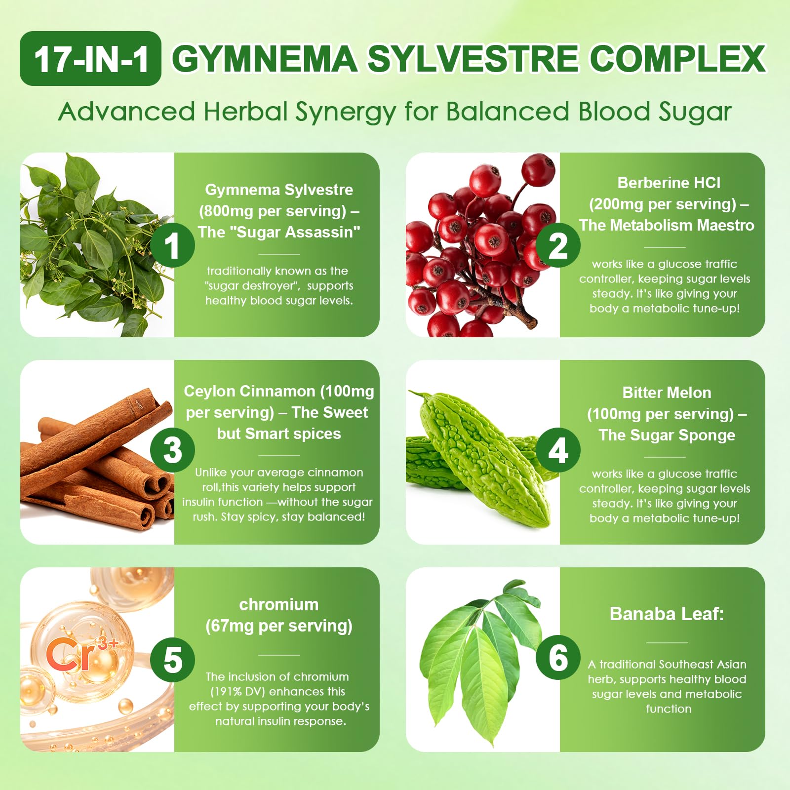 Graphic of a 17-in-1 herbal synergy formula