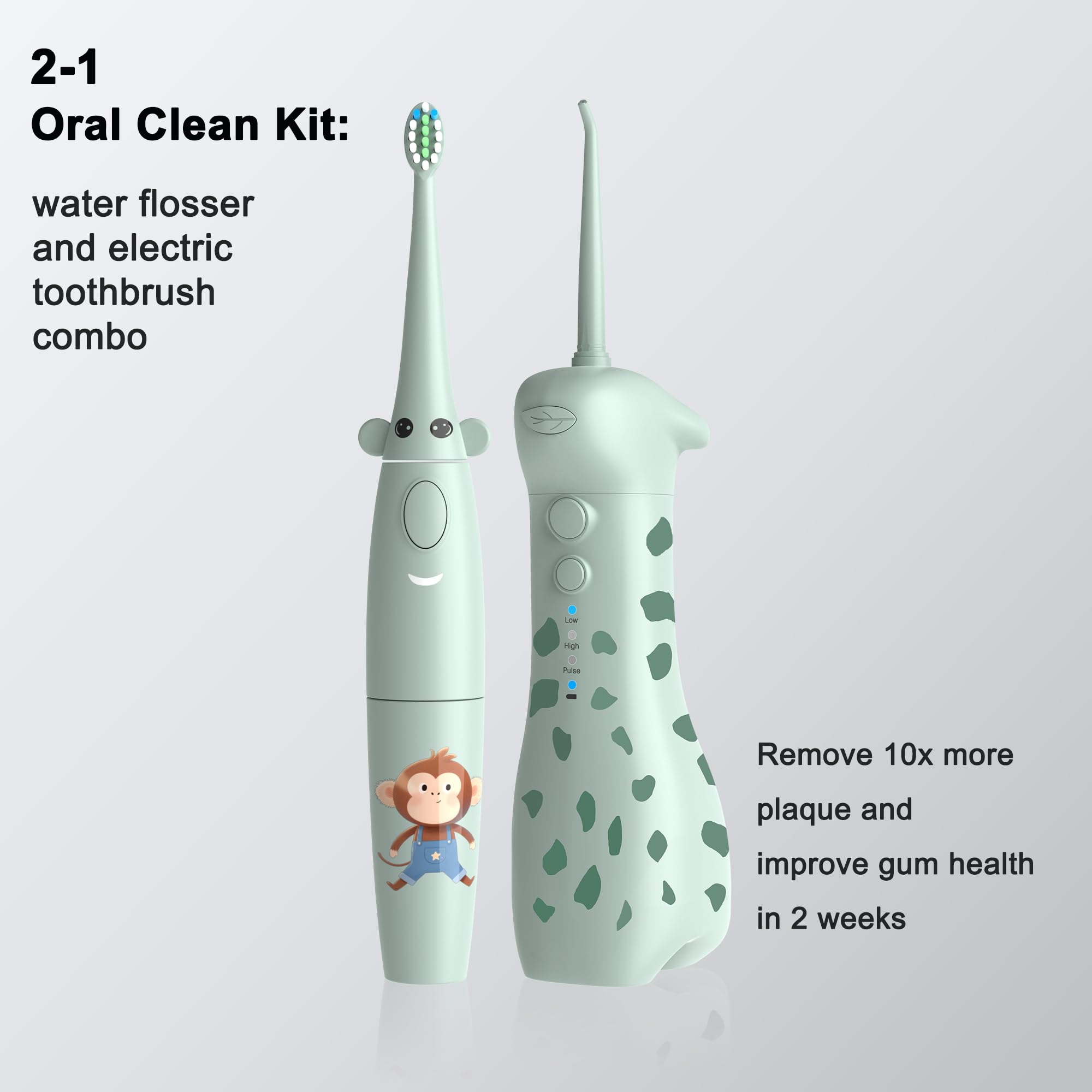 Close-up of three cleaning modes (High, Low, Pulse) on the water flosser