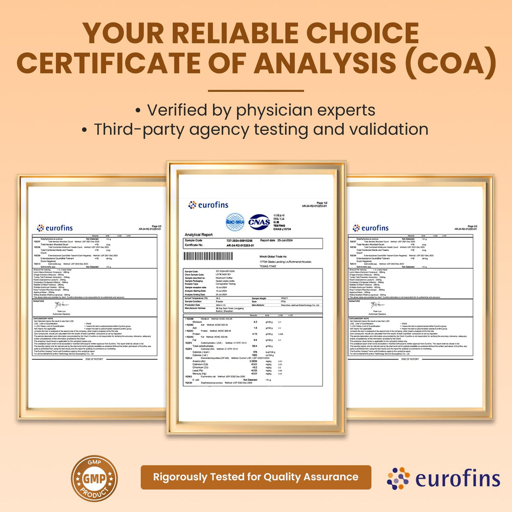 Close-up of mushroom coffee powder blend