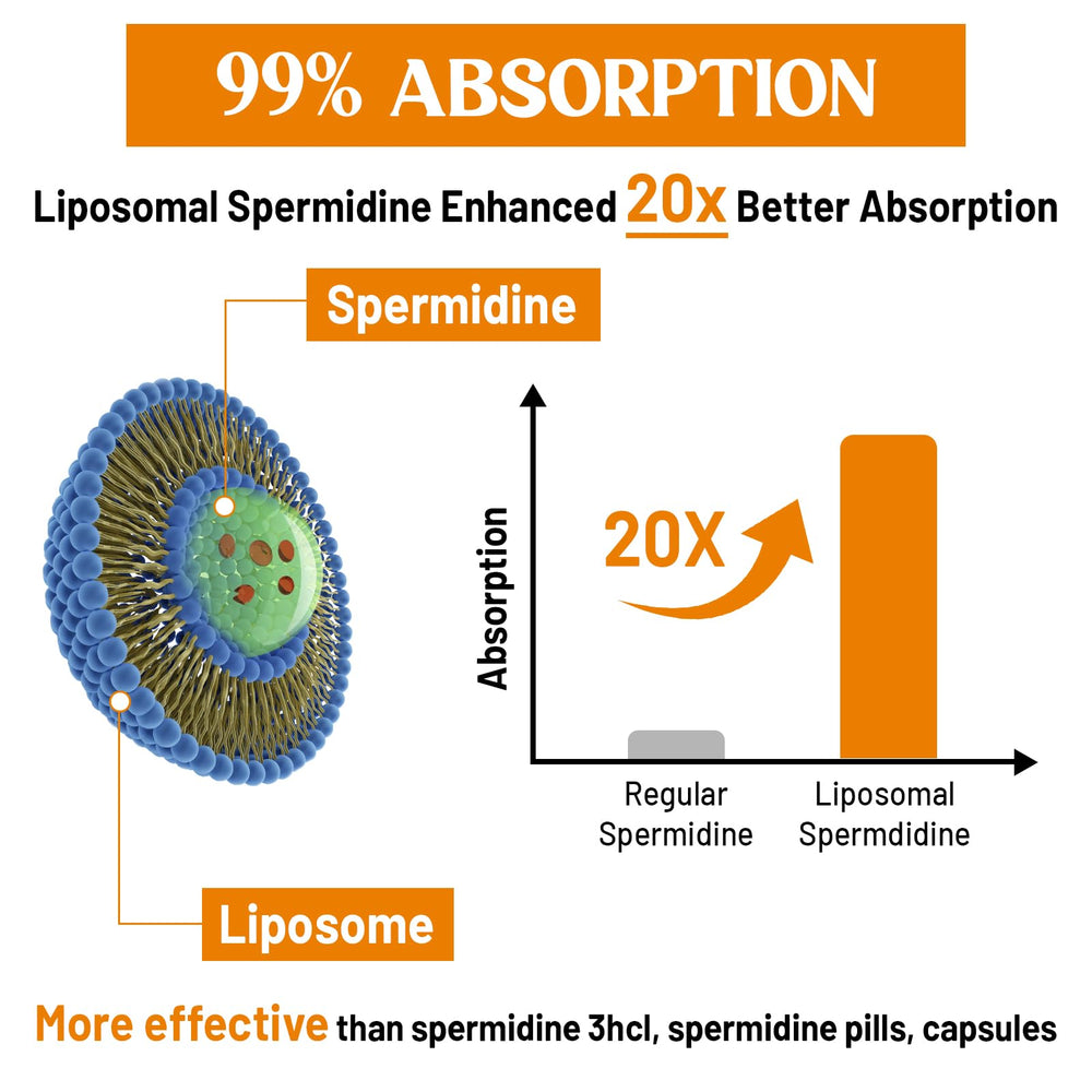 Close-up of the supplement label for 30mg Spermidine with purity claim