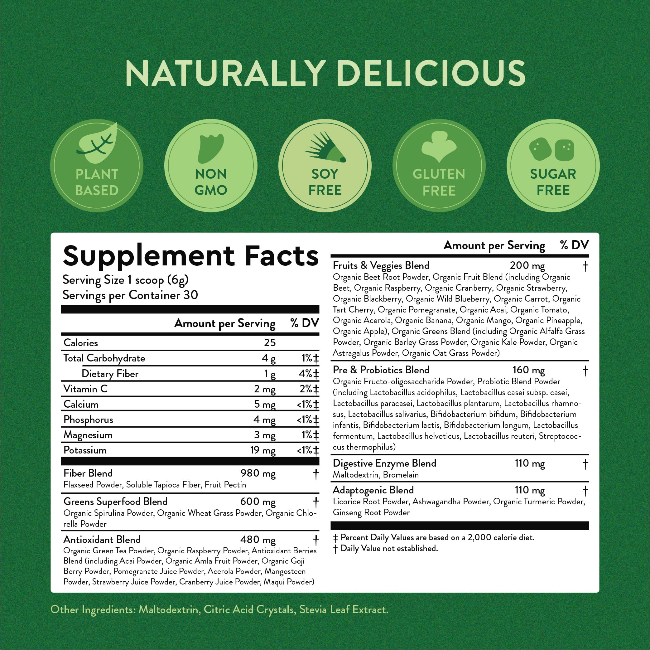 Icon-based image showing probiotics, prebiotics, and digestive enzymes