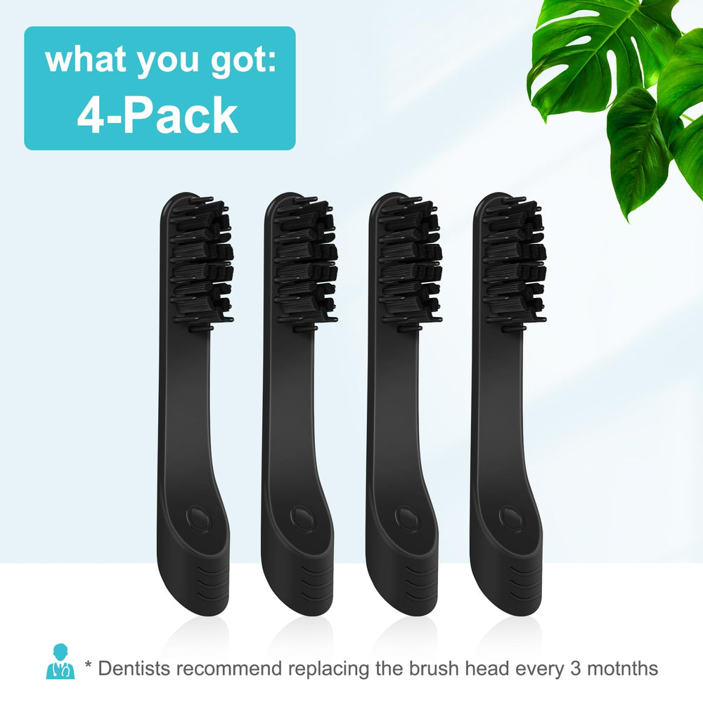 Graphic showing replacement every 3 months and easy removal method