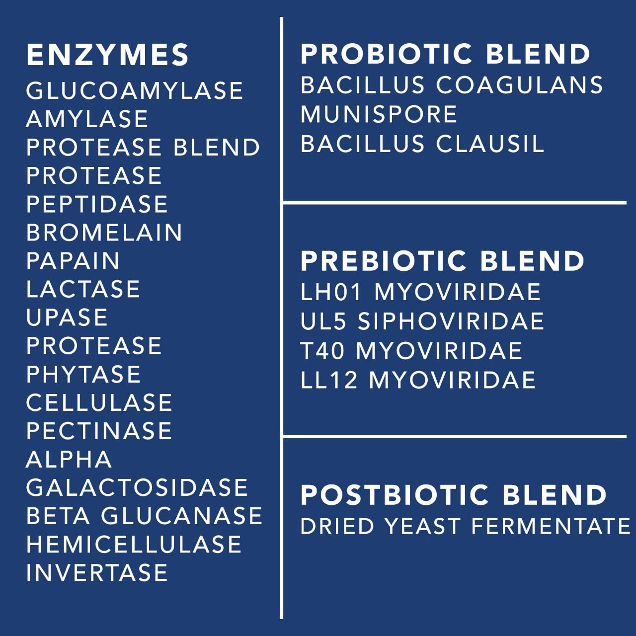 Digestive health concept with glowing intestinal tract