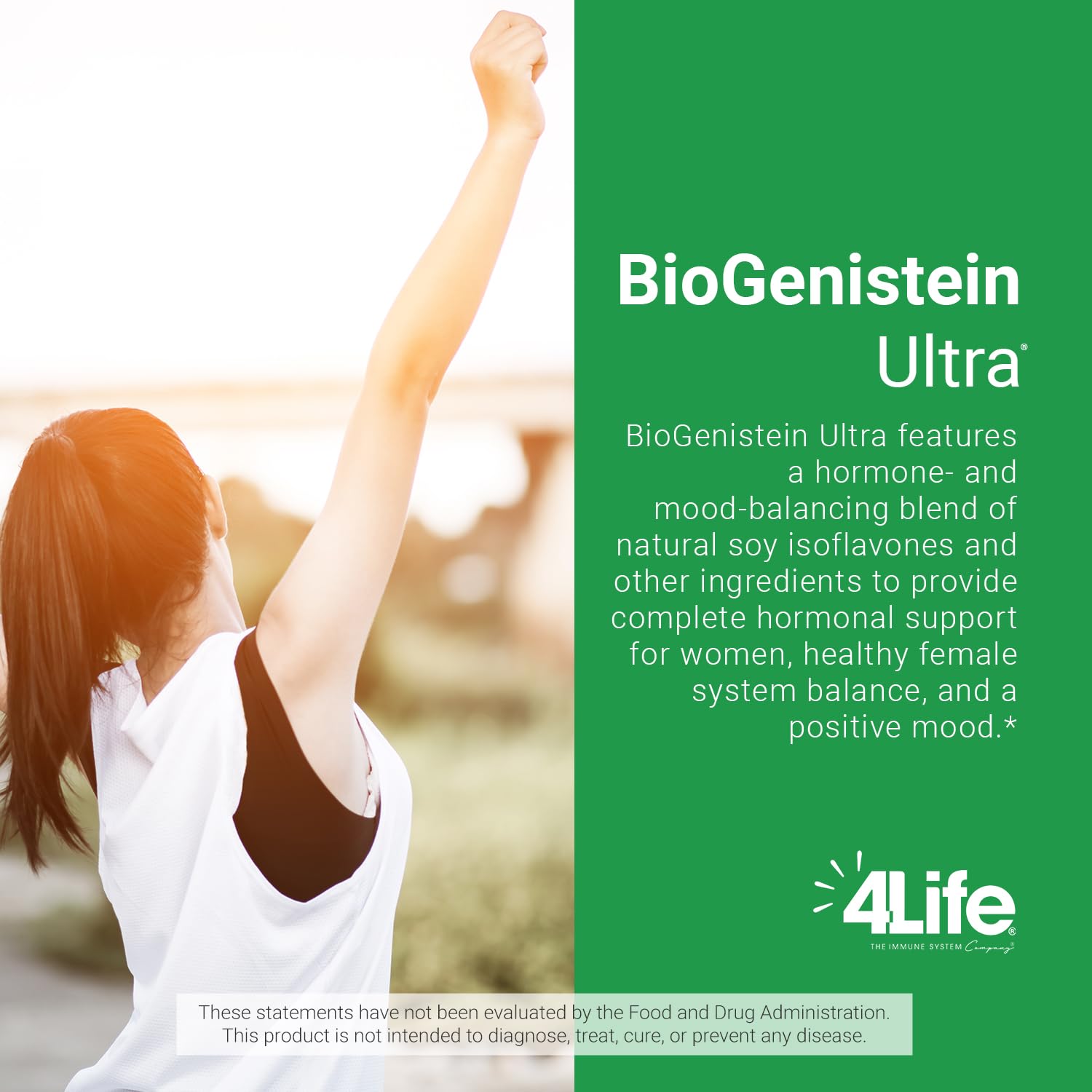 Illustration of soy isoflavones, black cohosh, and chaste tree