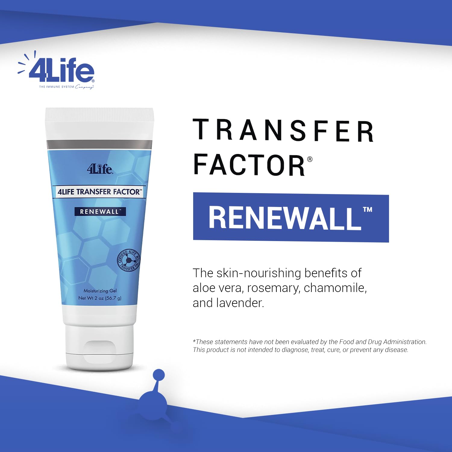 Concept image of key ingredients: Aloe Vera, Rosemary, Chamomile, Lavender