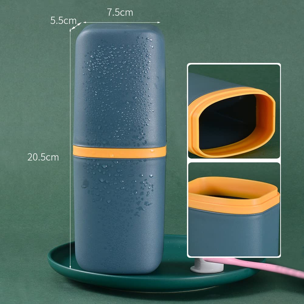Carrying case included with dentures cleaning brush set