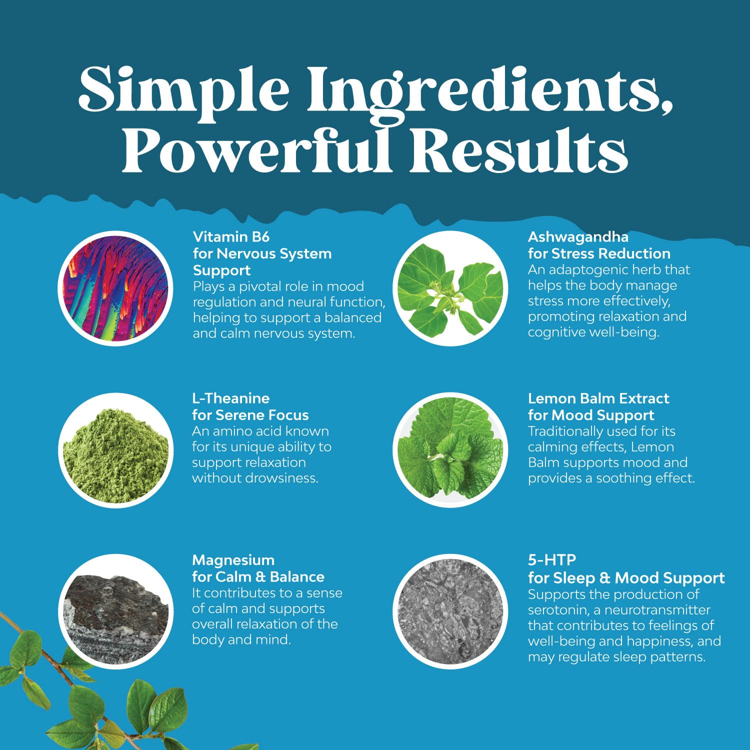 5-HTP and vitamin B6 ingredients graphic