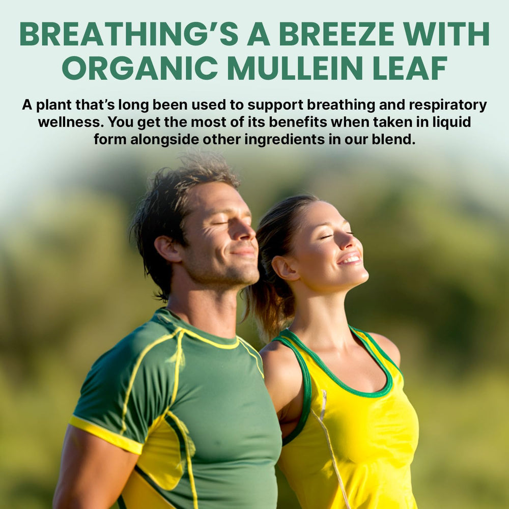 Elderberry and Echinacea components in the blend