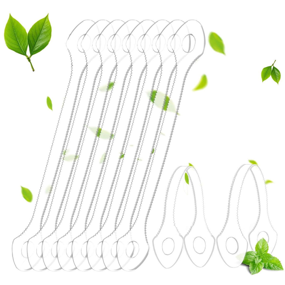 Packaging of 50-count disposable tongue scraper