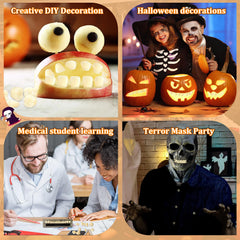 False teeth model for learning or Halloween prop