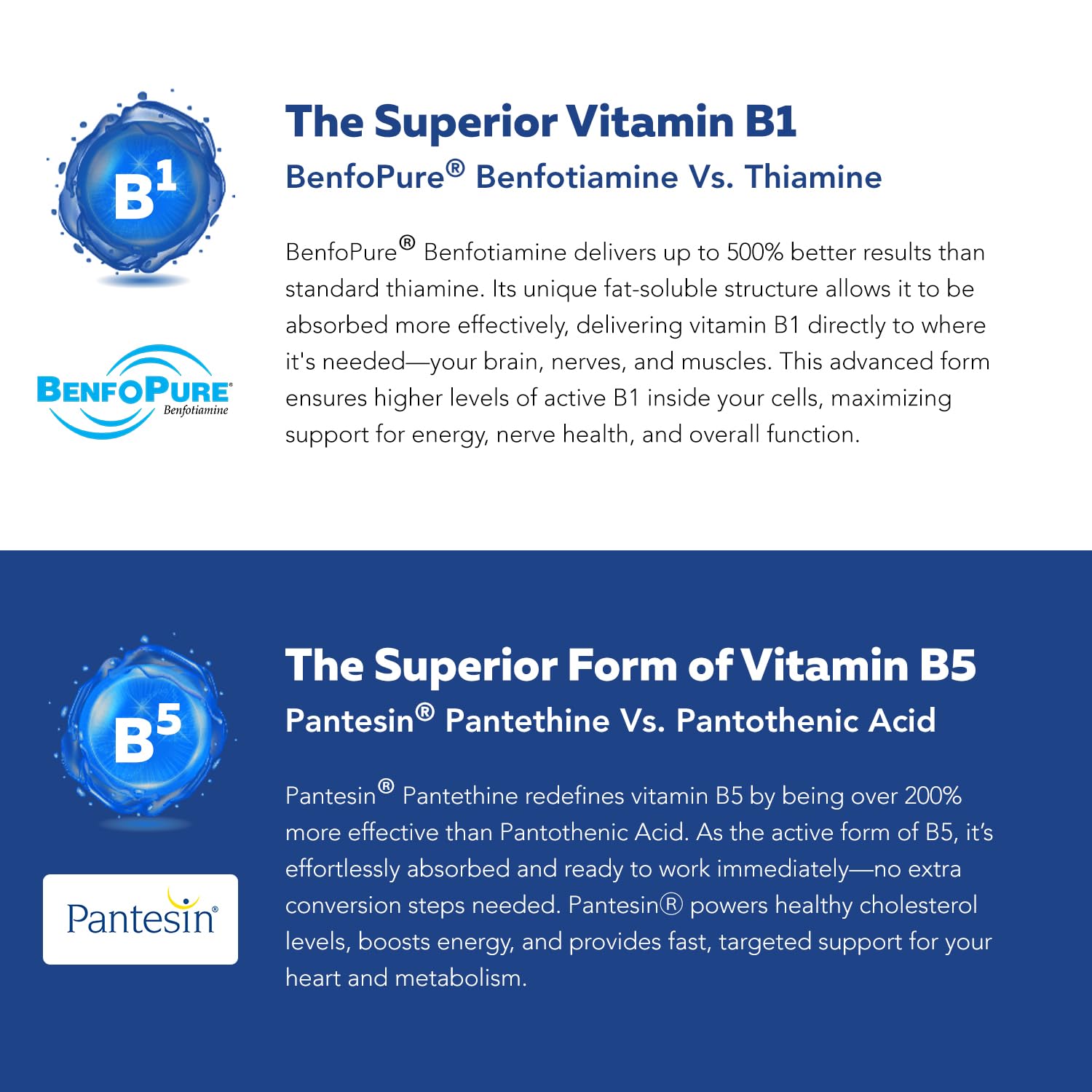 60-serving BioActive B Complex bottle packaging