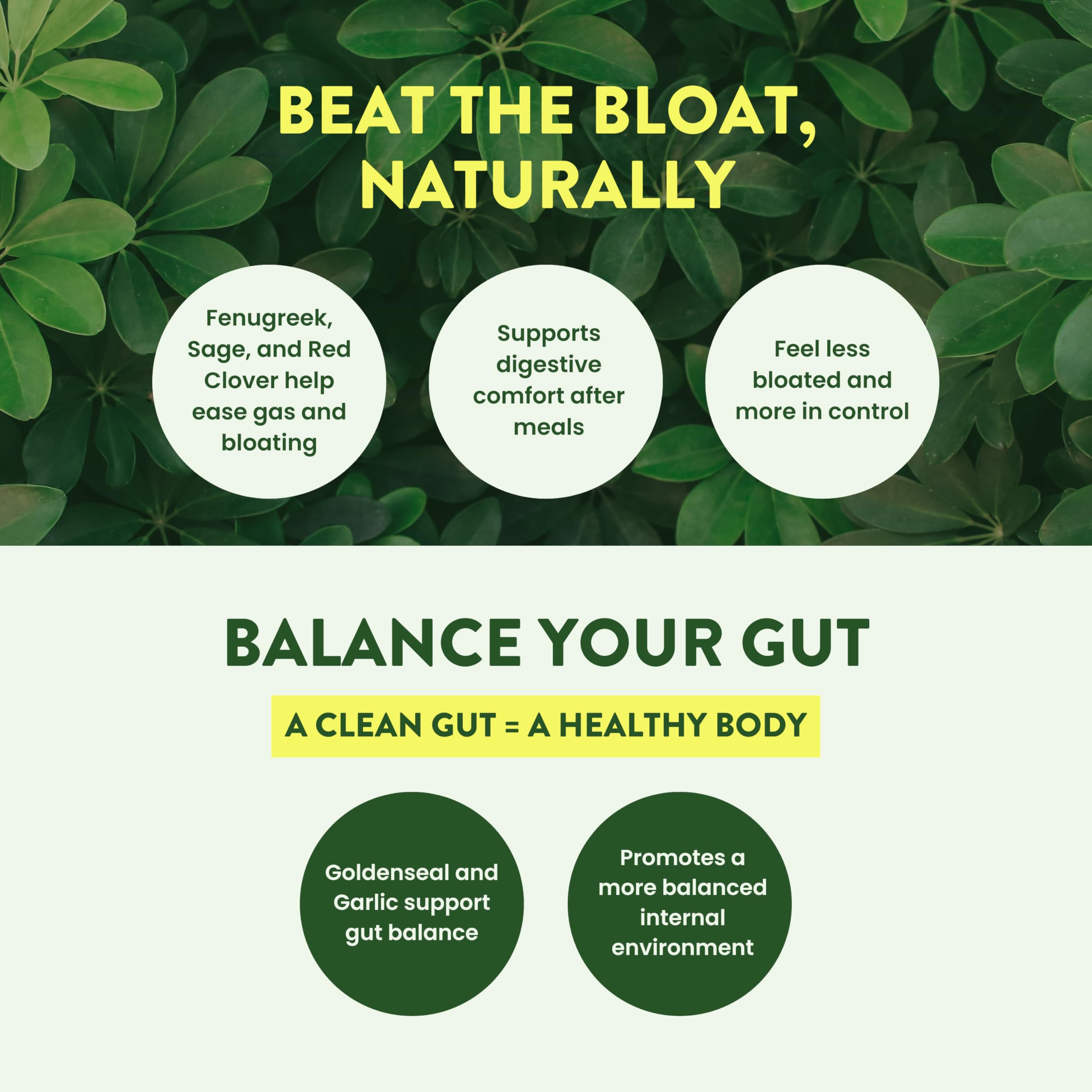 Natural laxative blend featuring Cascara Sagrada and Black Walnut Hulls