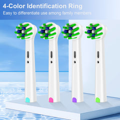 Soft DuPont filaments with rounded bristle ends