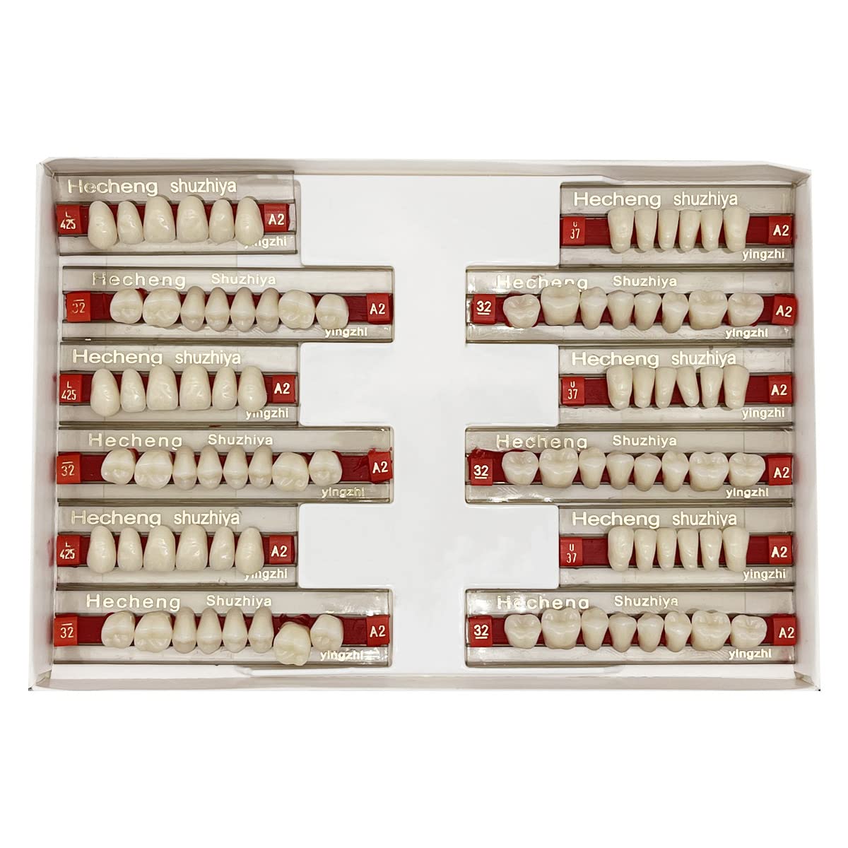 Box containing 84 pieces of false teeth denture teeth