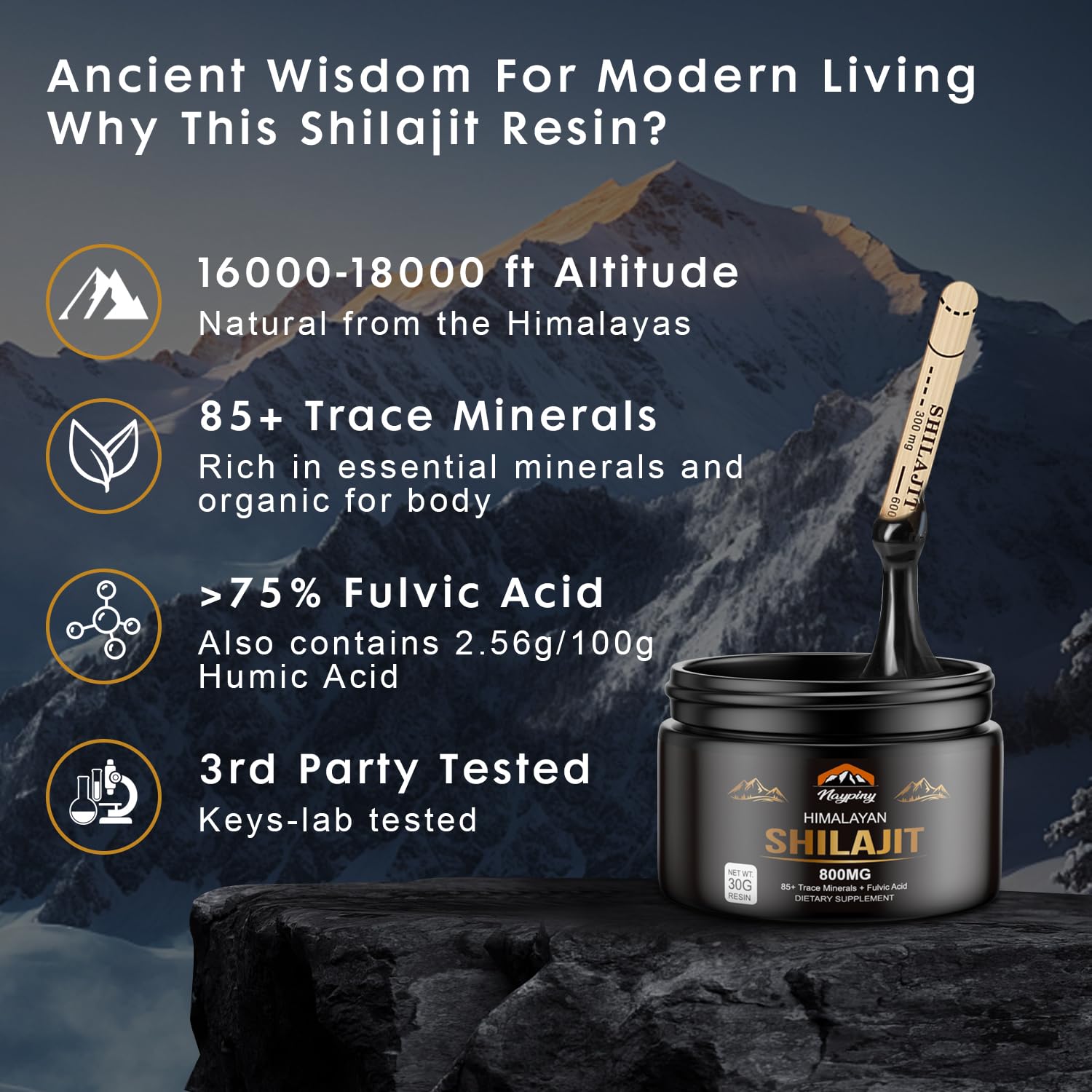 Graphic highlighting 85+ fulvic acid and trace minerals in Shilajit