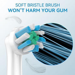 Soft and durable Dupont bristles for sensitive gums