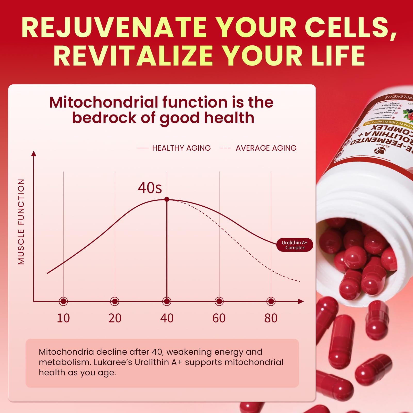 90-capsule bottle emphasizing sustainable wellness