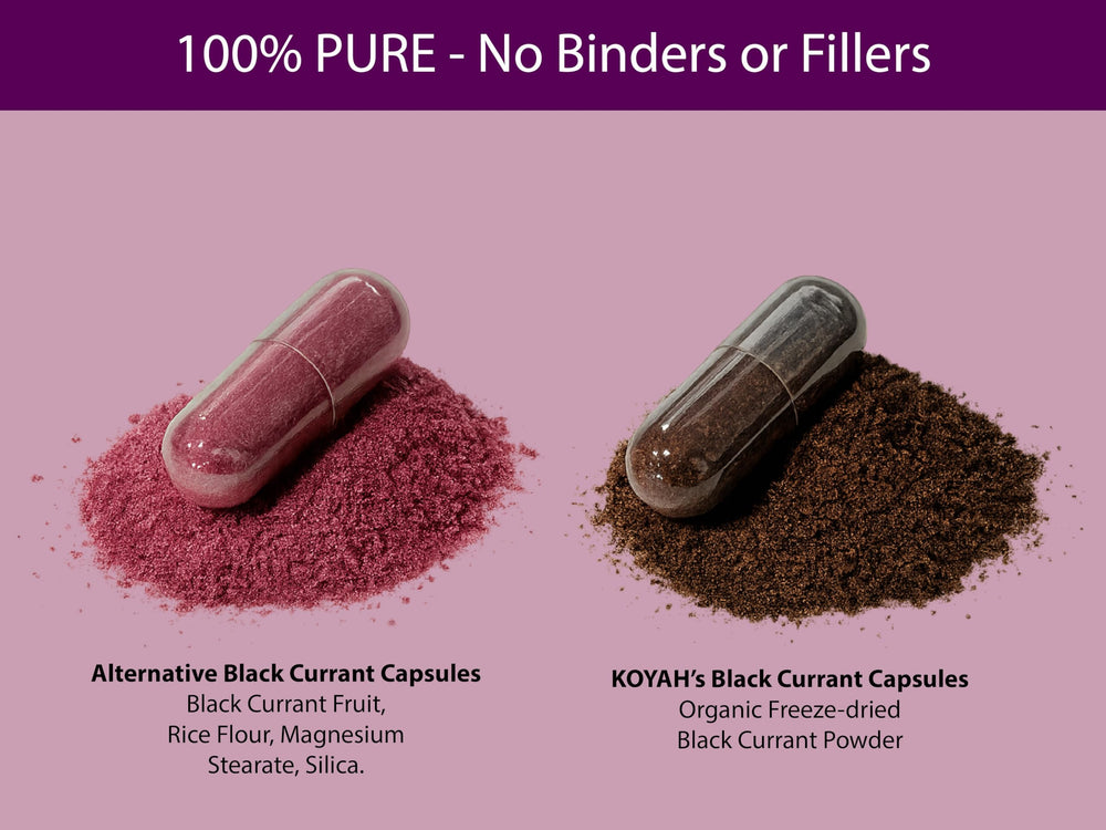 Ingredients and nutrition label for KOYAH Black Currant Capsules