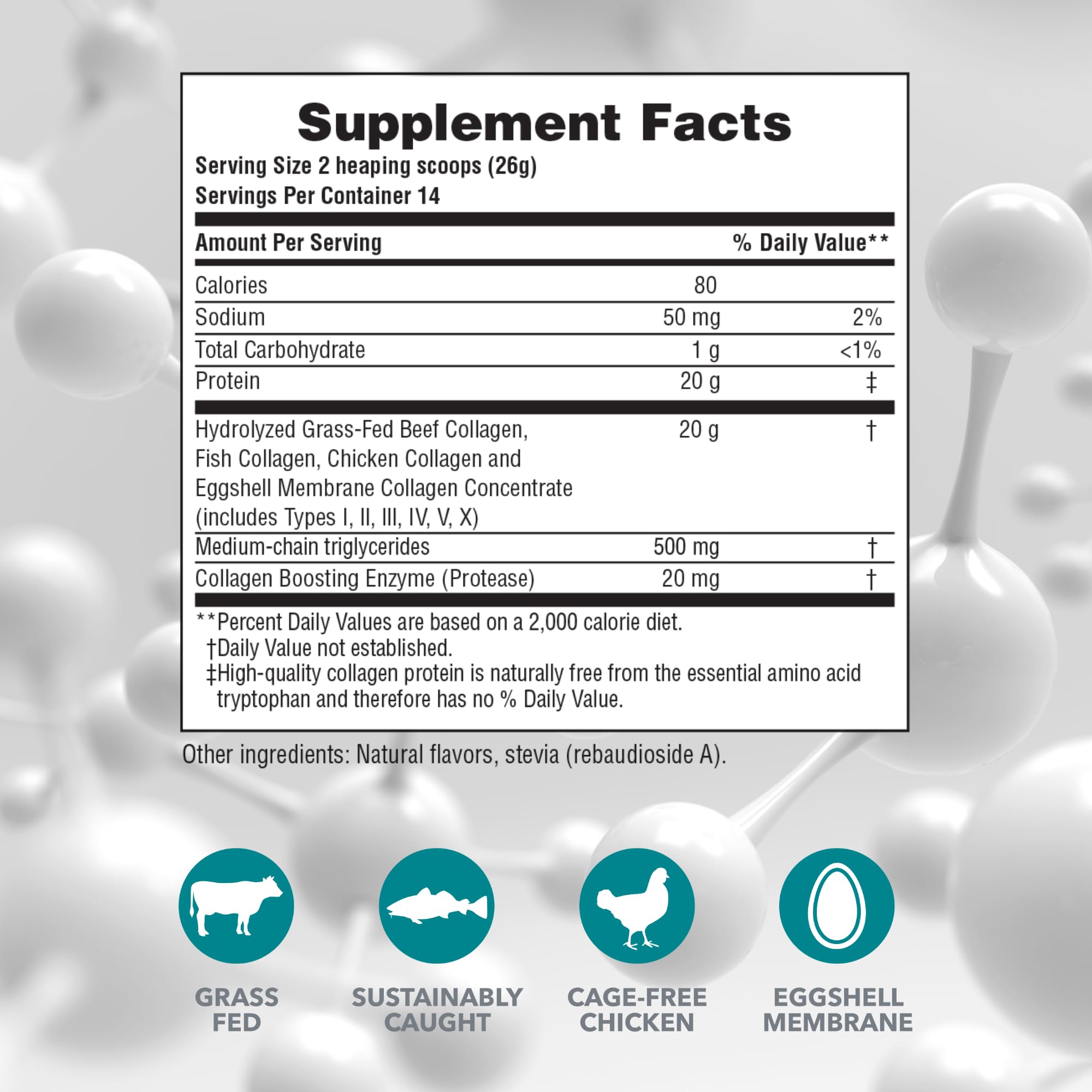 Back view showing nutrition and ingredients on NaturesPlus Collagen Peptides Vanilla