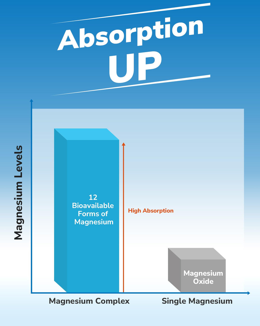 GMP-certified manufacturing facility for Vitalibre Magnesium