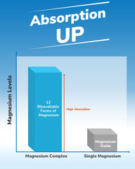 GMP-certified manufacturing facility for Vitalibre Magnesium