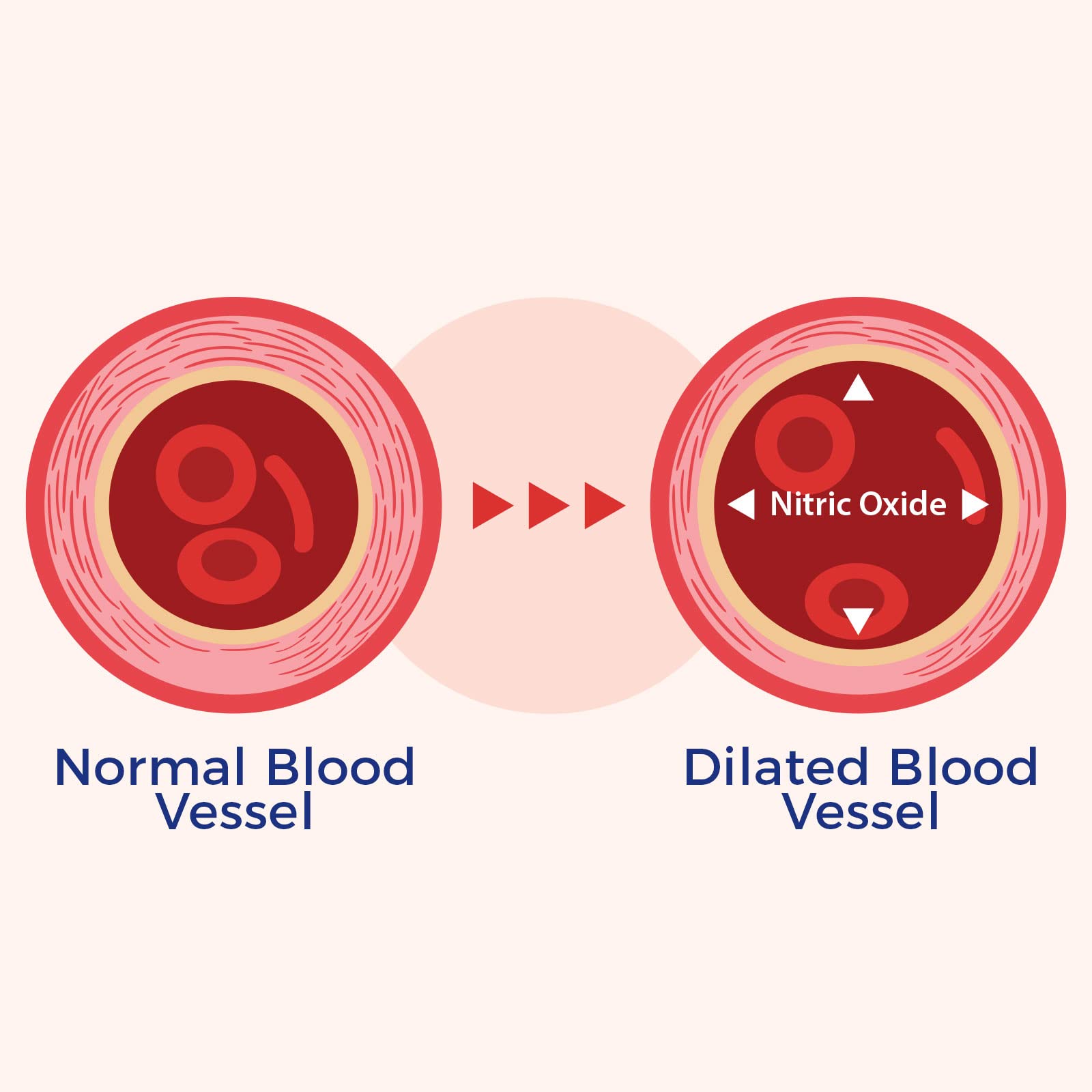 Black garlic and grape seed antioxidants in VasQFlow