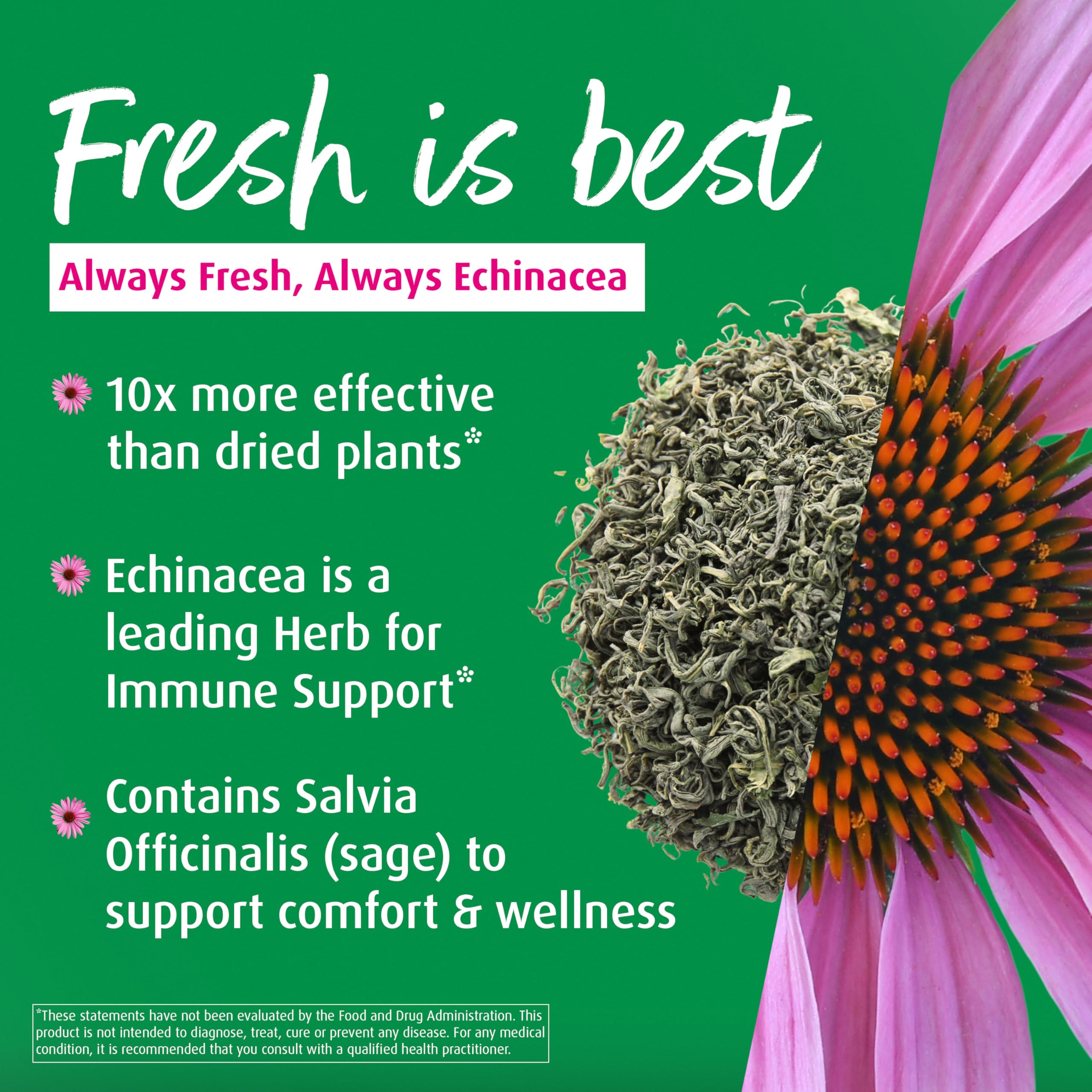 Close-up of fresh Echinacea purpurea and sage used in throat spray