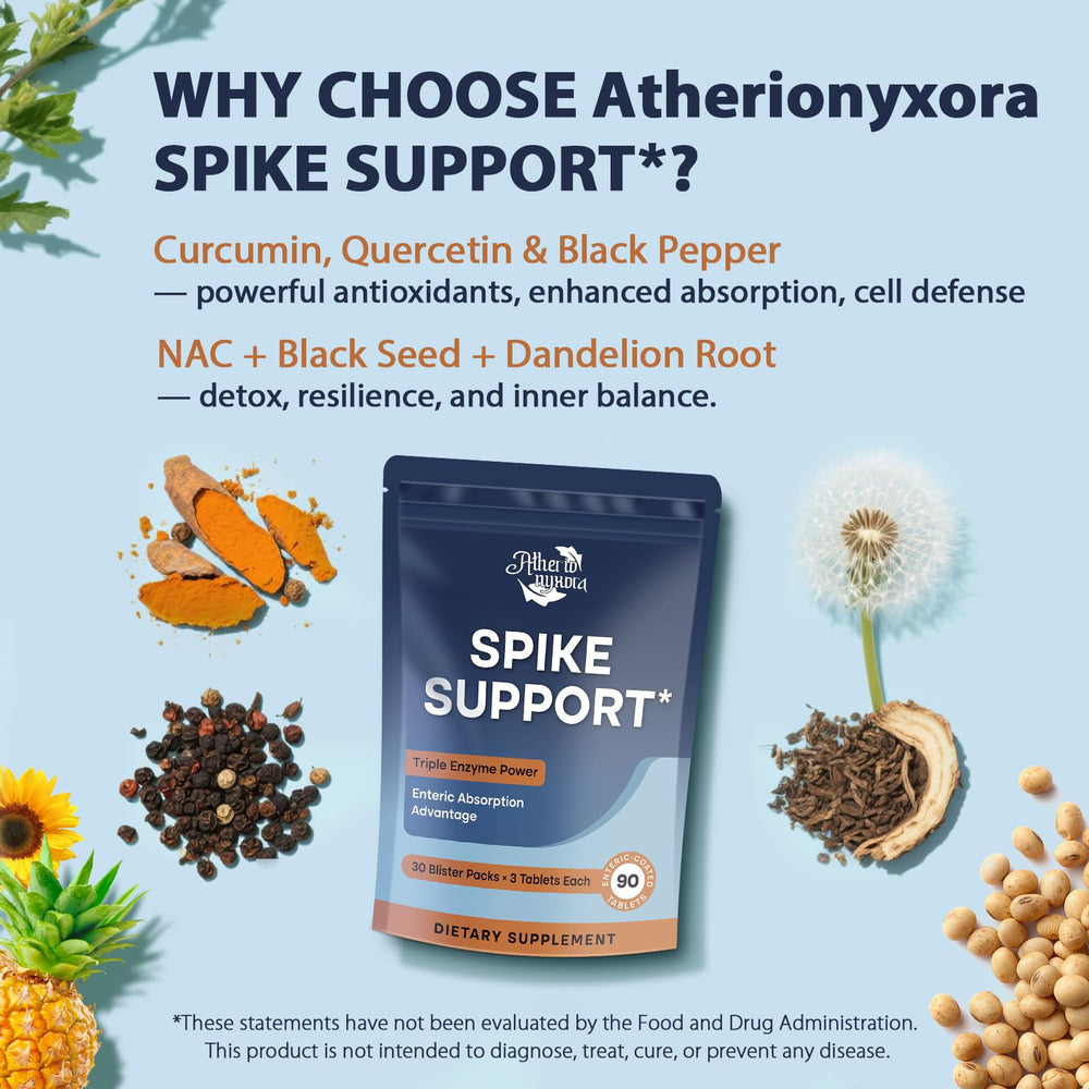 High absorption with black pepper, turmeric, and quercetin illustration