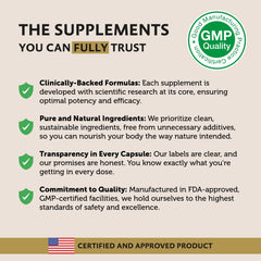 Illustration of antioxidants and vitamins in Açaí Berry 800mg