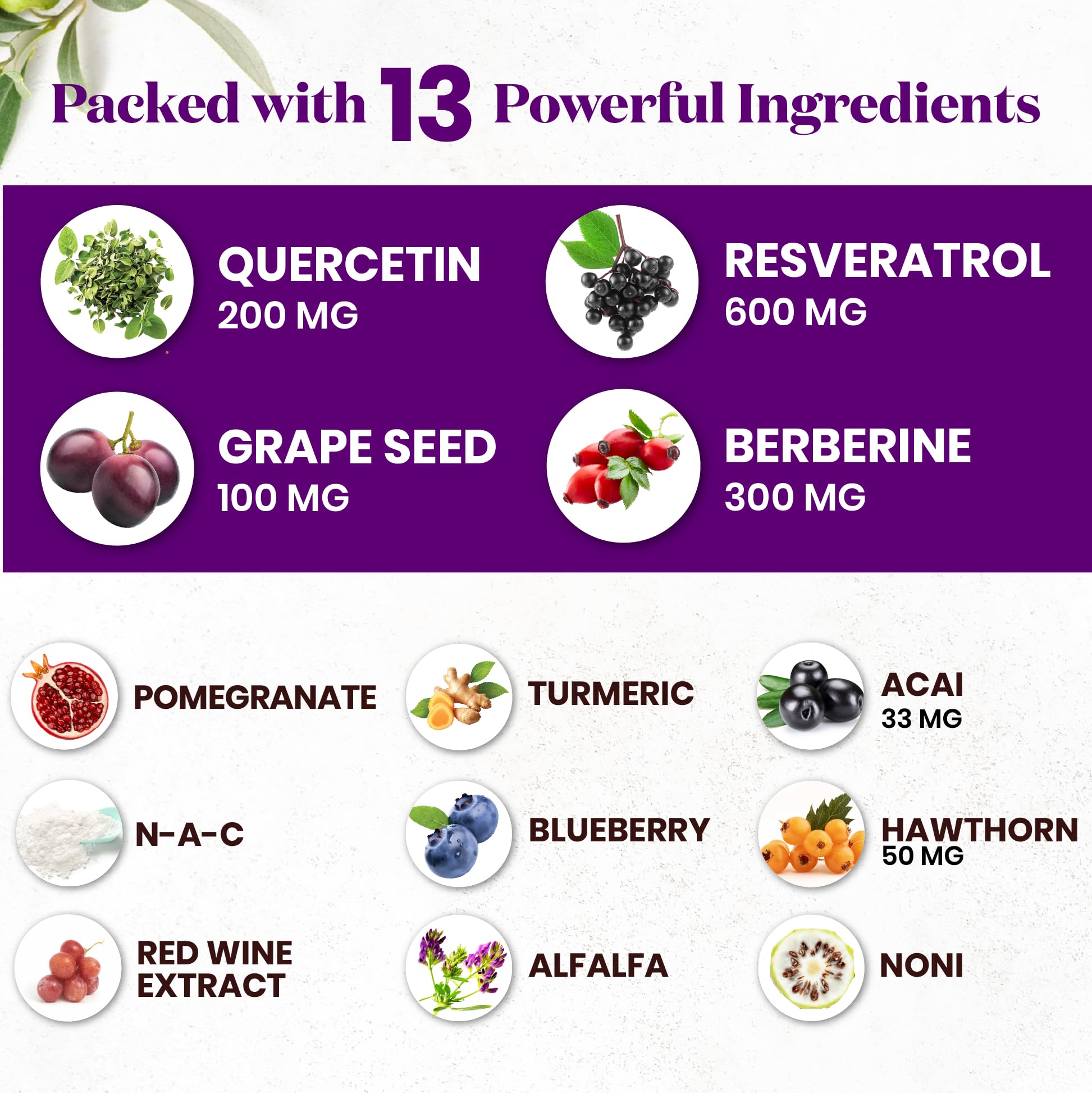 Acai extract and polyphenols illustration