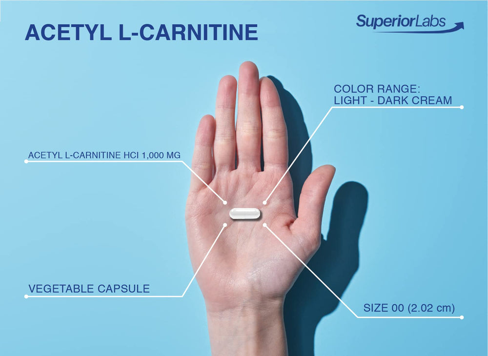 Box and bottle packaging for Superior Labs Acetyl L-Carnitine