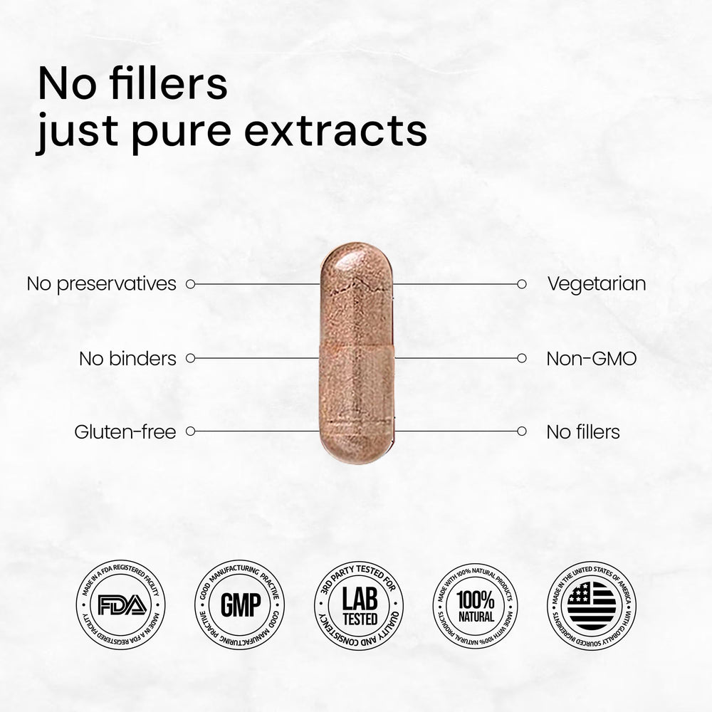 Reishi mushroom close-up