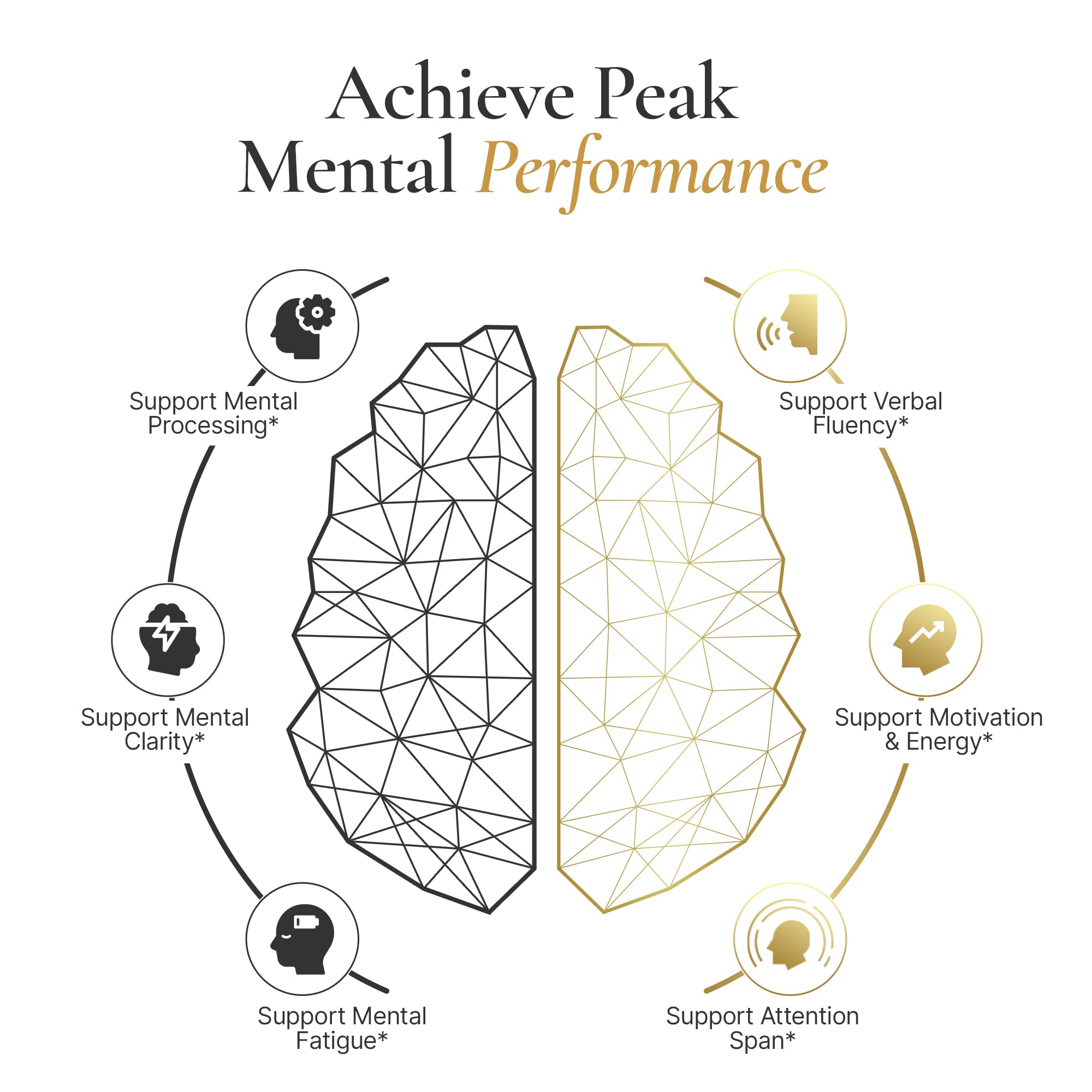 ACEWORKZ Elite Brain capsules for memory and focus support