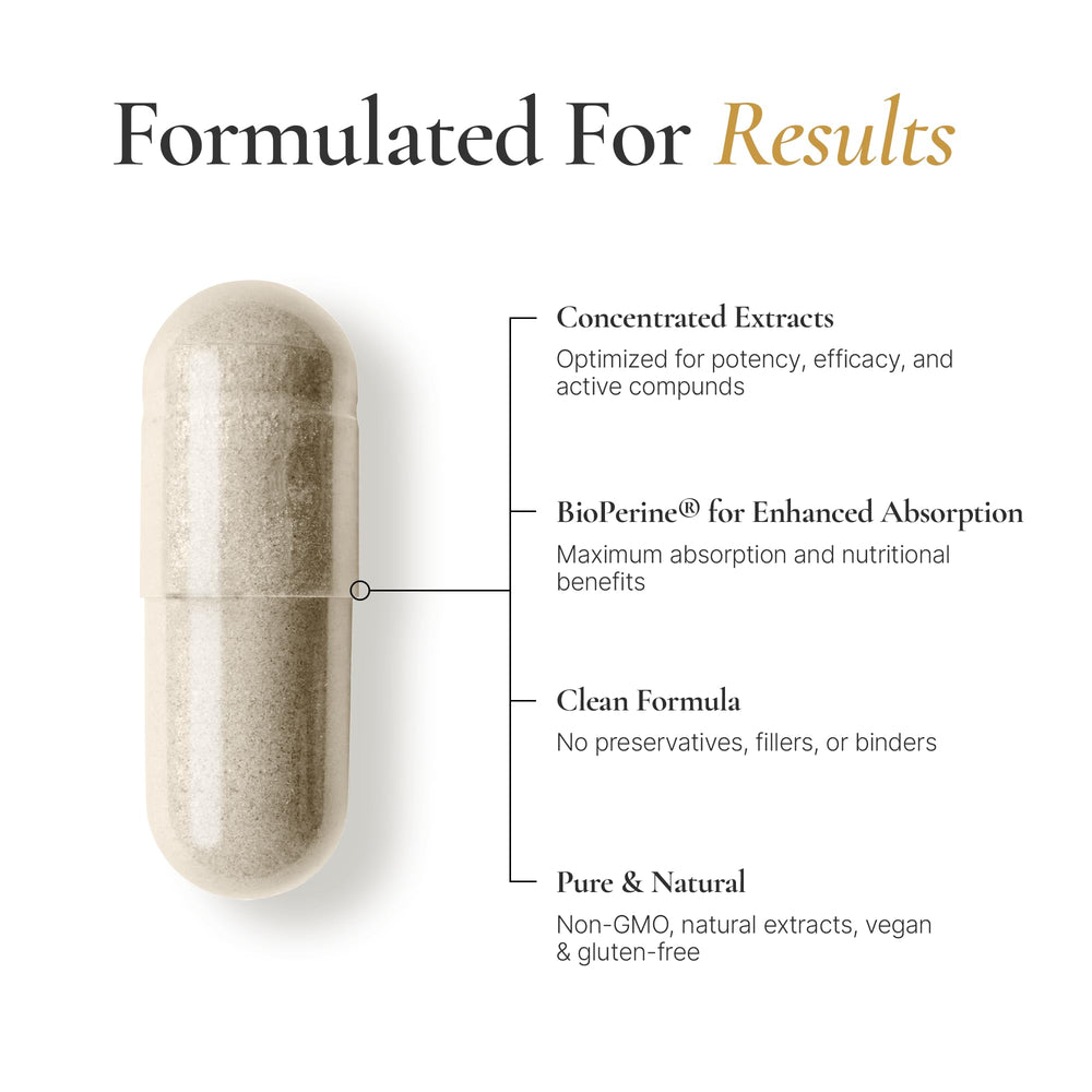 ACEWORKZ Elite Brain ingredients panel highlighting Lion’s Mane and ALCAR