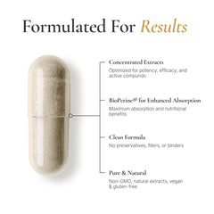 ACEWORKZ Elite Brain ingredients panel highlighting Lion’s Mane and ALCAR